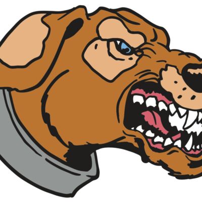 AR DOG 12 RC Thumbnail