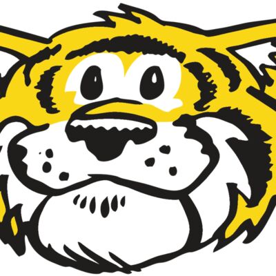 AR TIGER 90 RC Thumbnail