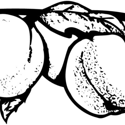 FRUIT031 Thumbnail