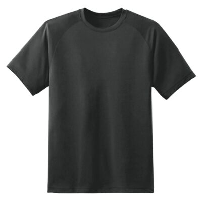 Dry Zone™ Short Sleeve Raglan T Shirt Thumbnail