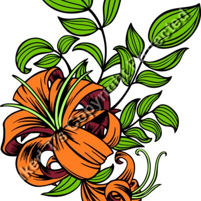 ESflower002clr Thumbnail