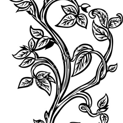 ESleaves005bw Thumbnail