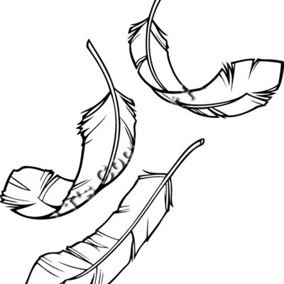 ESfeathers001bw Thumbnail