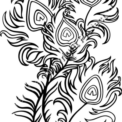 ESfeathers002bw Thumbnail