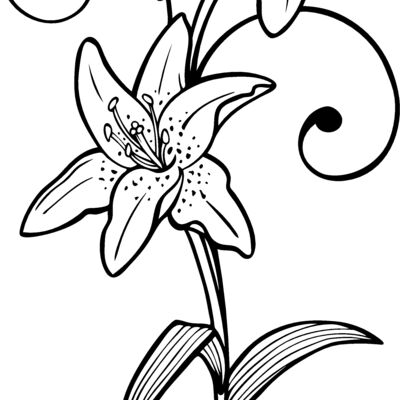 ES2flower007bw Thumbnail