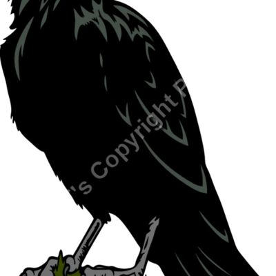 ES2raven003clr Thumbnail