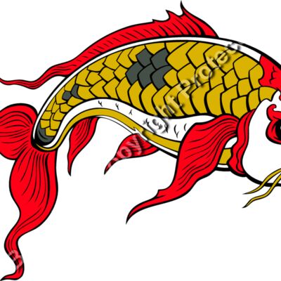 ES2asiankoi008clr Thumbnail