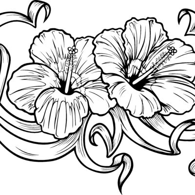 ES2flower001bw Thumbnail