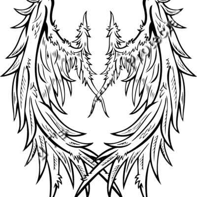 ES2wings026BW Thumbnail