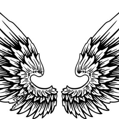 ES2wings011BW Thumbnail