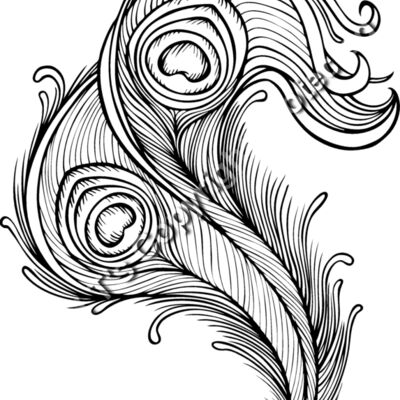 ES2feathers002bw Thumbnail