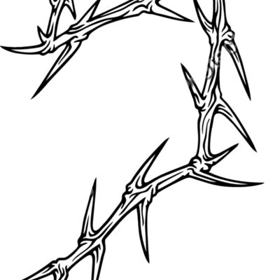 ES2thorns006BW Thumbnail