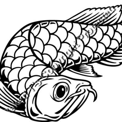 ES2arowana001BW Thumbnail