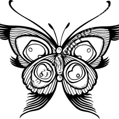 ES2butterfly001bw Thumbnail