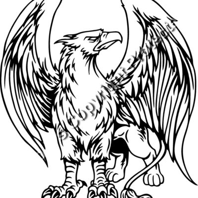 ES2griffin003BW Thumbnail