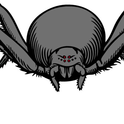 ES2spider007clr Thumbnail