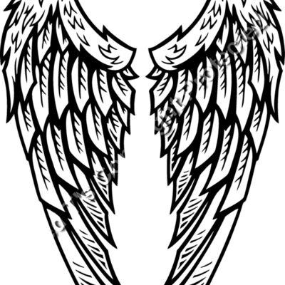 ES2wings022BW Thumbnail