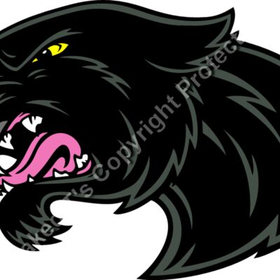 ES2panther003CLR Thumbnail