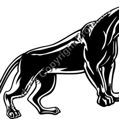 ES2panther004bw Thumbnail