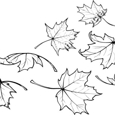 ES2leaves001bw Thumbnail