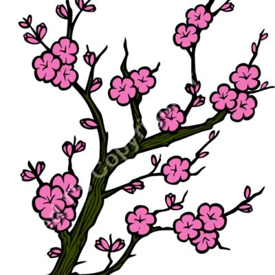 ES2cherryblsm001clr Thumbnail