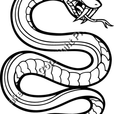 ES2snake002BW Thumbnail