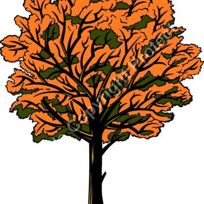 ES2tree005clr Thumbnail