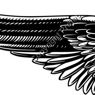 ES2wings027bw Thumbnail