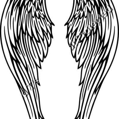 ES2wings018BW Thumbnail