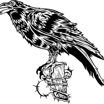 ES2raven001BW Thumbnail