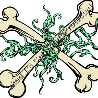 ES2bones005clr Thumbnail