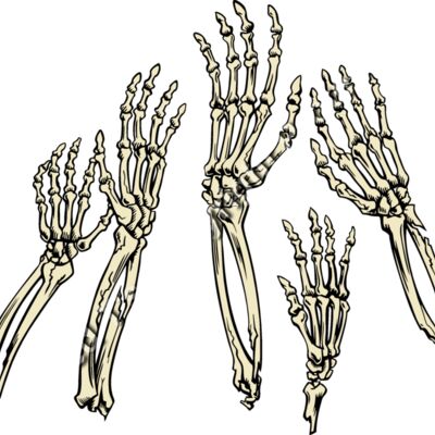 ES2bones001clr Thumbnail