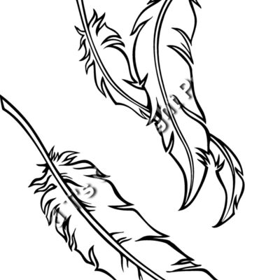 ES2feathers001bw Thumbnail