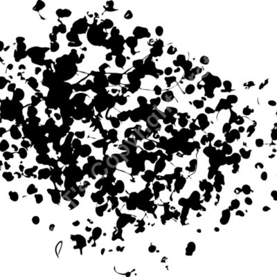 ES2splat004bw Thumbnail