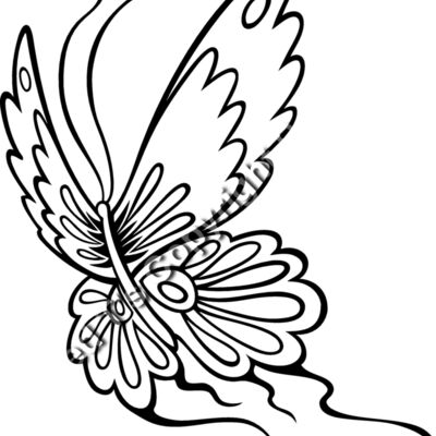 ES2butterfly006bw Thumbnail