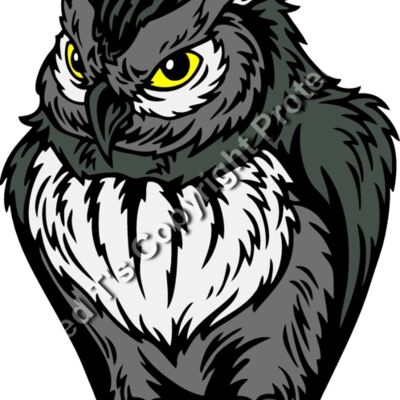 ES2owl003CLR Thumbnail