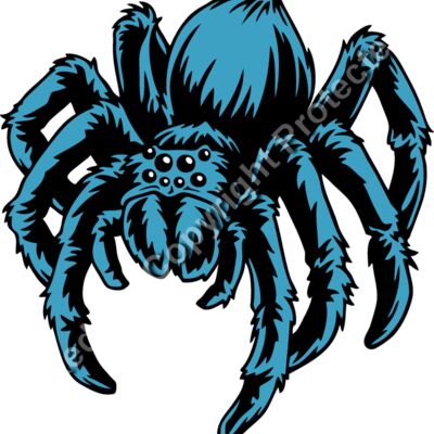 ES2spider005CLR Thumbnail