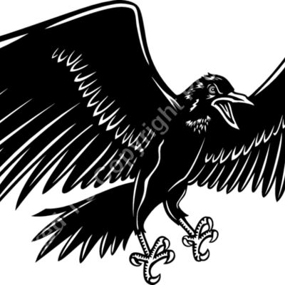 ES2raven002bw Thumbnail