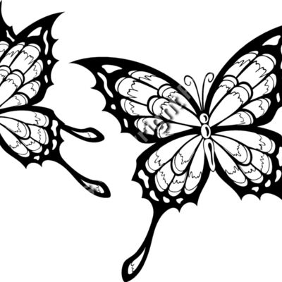 ES2butterfly002bw Thumbnail
