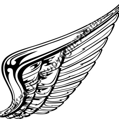 ES2wings008BW Thumbnail