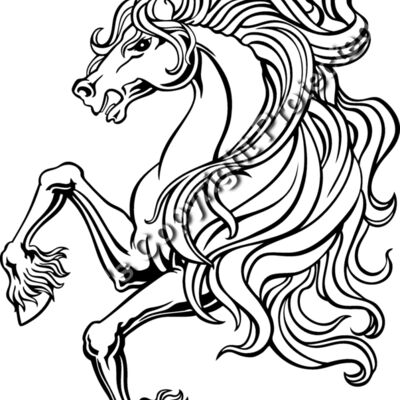 ES2horse006bw Thumbnail