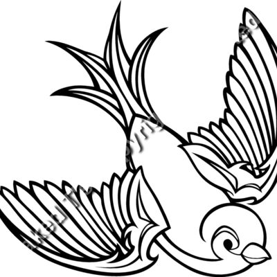 ES2swallow001bw Thumbnail