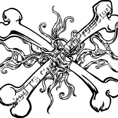 ES2bones005bw Thumbnail