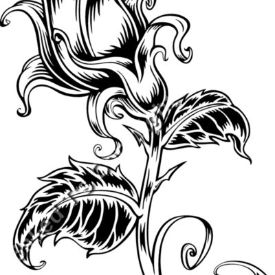 ES2rose001BW Thumbnail