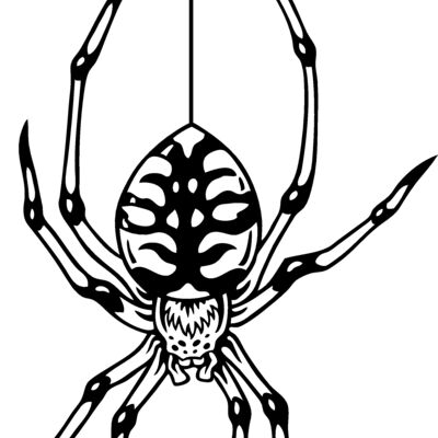 ES2spider003BW Thumbnail