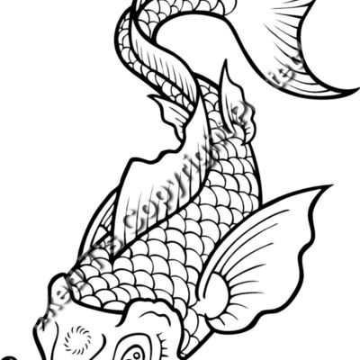 ES2asiankoi006bw Thumbnail