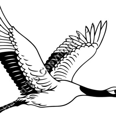 ES2crane001BW Thumbnail