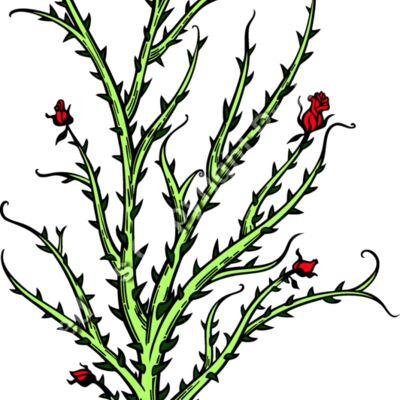 ES2thorns004clr Thumbnail