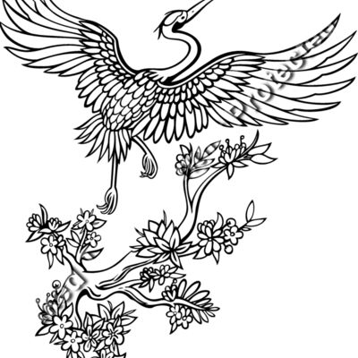 ES2crane002bw Thumbnail