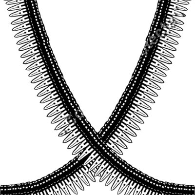 ES2bullets001bw Thumbnail